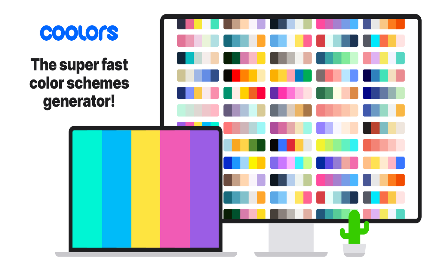 coolors