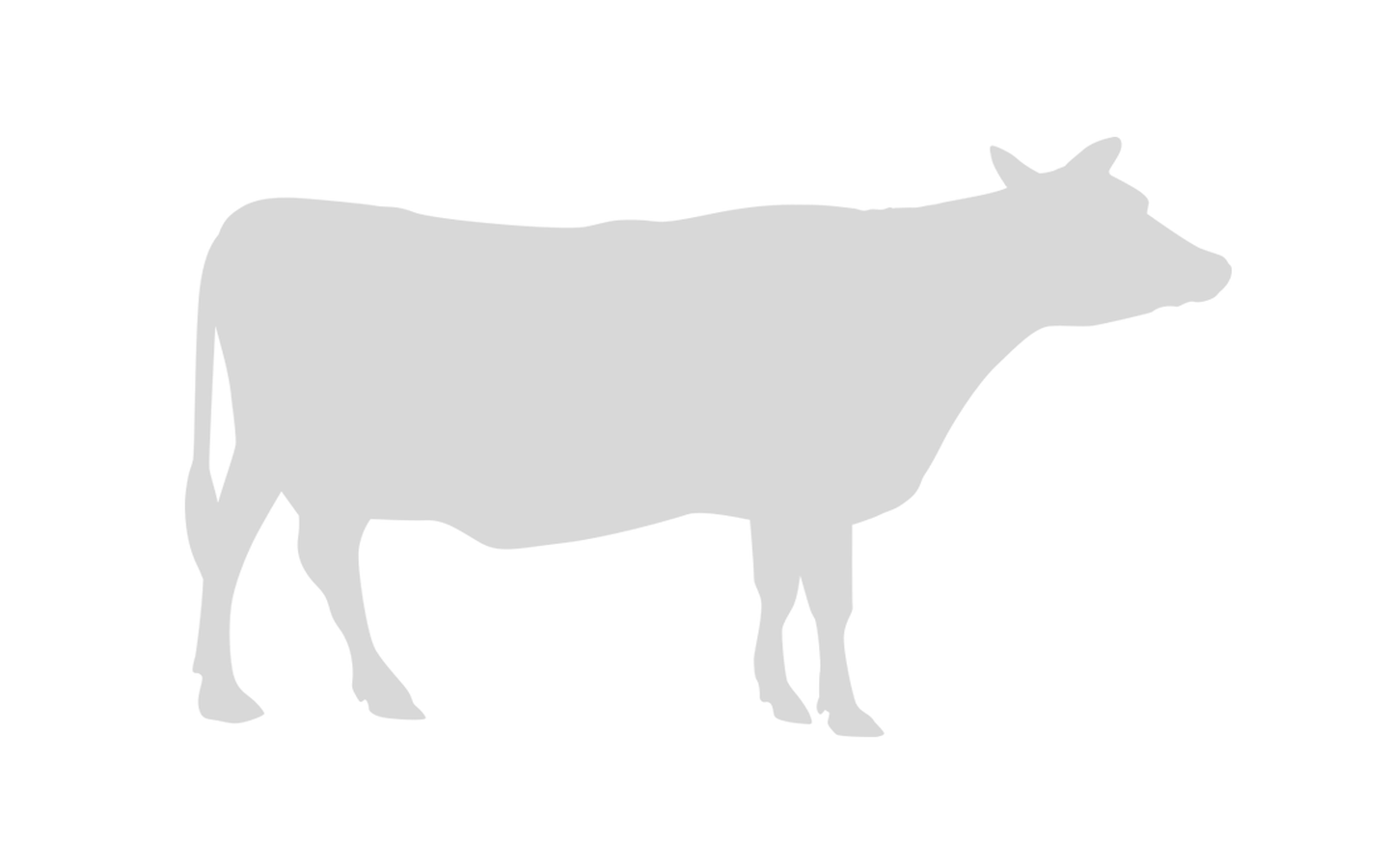 findtheinvisiblecow